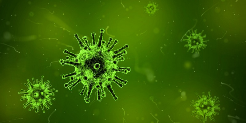 綠色背景下的病毒圖片